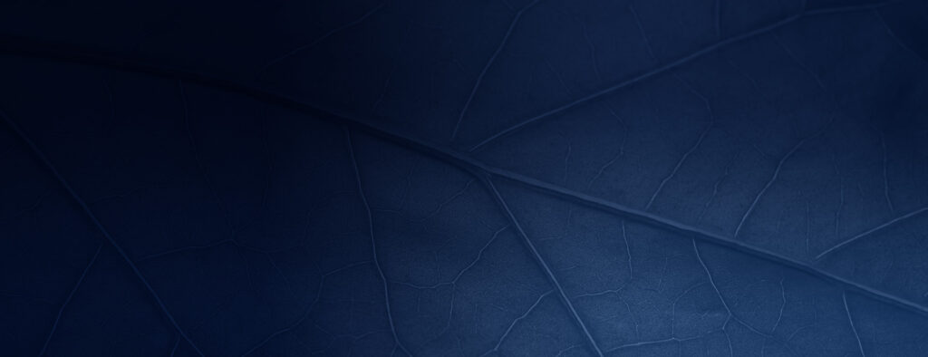 blue leaf banner